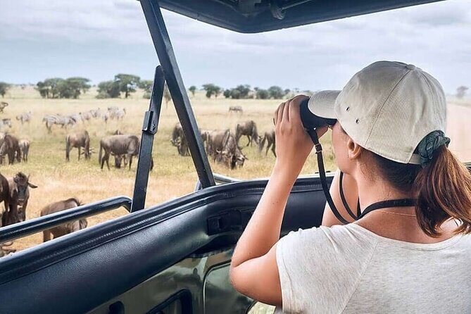 2 Days Tarangire and Ngorongoro Safari from Zanzibar - Price and value: what you’re really paying for
