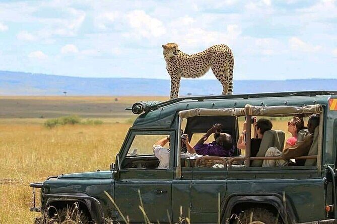 2 days Tarangire and Ngorongoro short safari - Key Things to Know Before You Go
