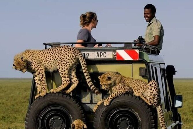 2 days Tarangire and Ngorongoro short safari - Final Call: Should You Book This 2-Day Tarangire and Ngorongoro Safari?
