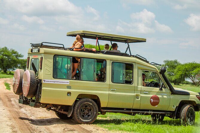 2 Days Tarangire & Ngorongoro Budget Safari Tour Tanzania - Tarangire National Park day: baobabs, elephants, and birds in a focused drive