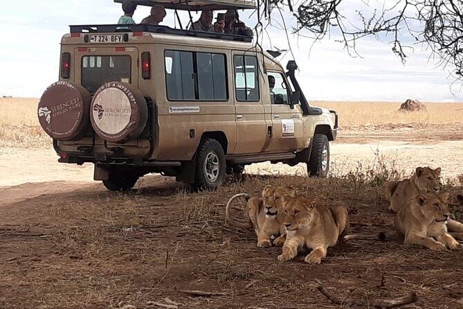 2 Days Tarangire & Ngorongoro Budget Safari Tour Tanzania - Price and value: what $520 includes and why it matters