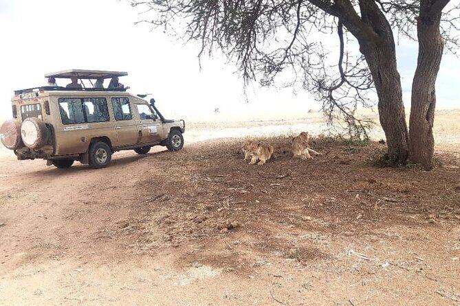 2 Days Tarangire & Ngorongoro Budget Safari Tour Tanzania - Who this safari fits best