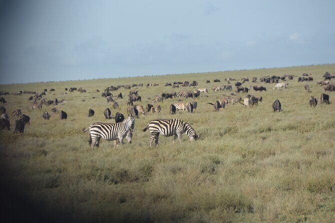 2 Days Tour From Zanzibar to Nyerere National Park (Selous GR) - Price and value: is $1,025.65 per person worth it?