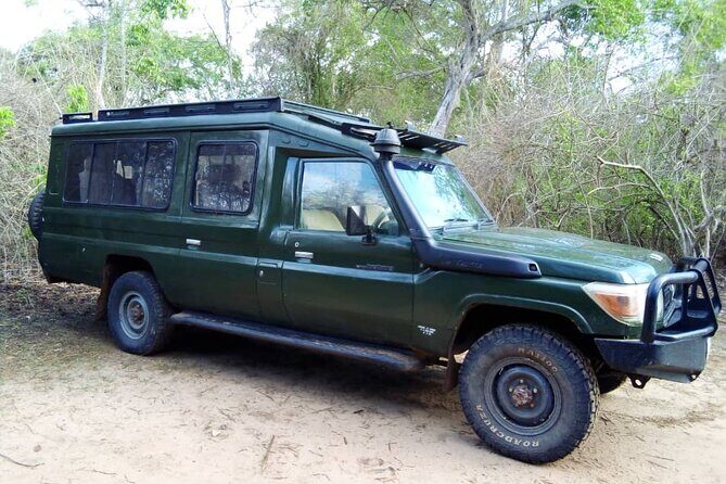 2 Days Tour From Zanzibar to Nyerere National Park (Selous GR) - Day 1: The first long game drive inside Selous/Nyerere