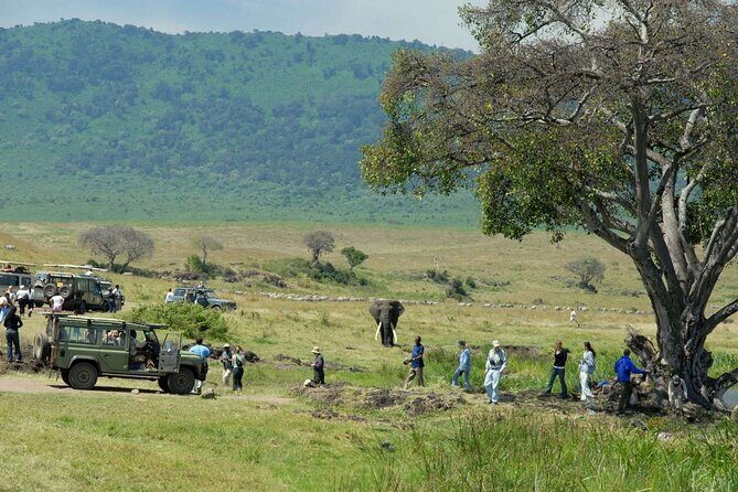 2 days Tour Tarangire & Ngorongoro - Getting from Arusha: 7:30am start and small-group setup
