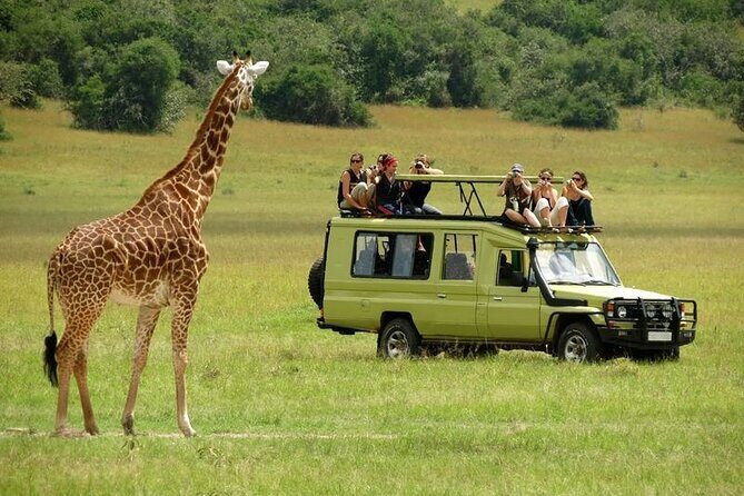 2 days Tour Tarangire & Ngorongoro - Descending into the crater: where spotting gets more realistic
