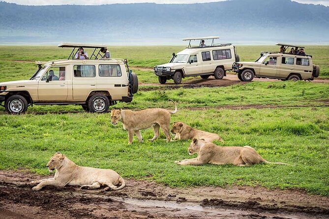 2 days Tour Tarangire & Ngorongoro - Overnight in tents: comfort basics you can plan around