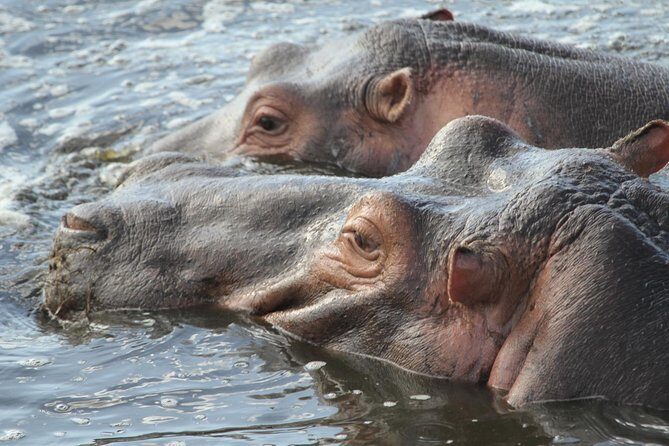 2 Days Wildlife game drives Through Tarangire and Ngorongoro Crater - Ngorongoro Crater: The 8th Wonder Feel (and Why Dawn Counts)