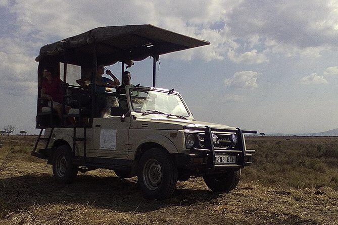 2 Days Wildlife Safari in Mikumi National Park - Mikumi in 48 Hours: What This Safari Really Delivers