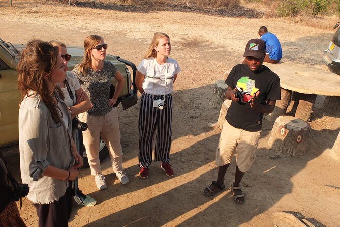 2 nights 3 days safari to mikumi national park - The Dar es Salaam transfer: long hours, but it sets you up