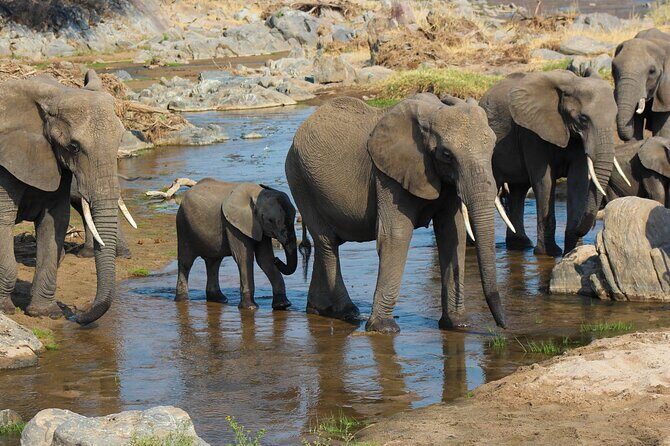 3-Day Camping Safari Tarangire, Lake Manyara & Ngorongoro crater - 3 Parks in 3 Days: The Pace That Makes It Work