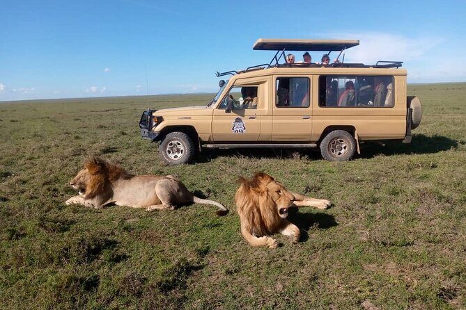 3-Day Camping Safari Tarangire, Lake Manyara & Ngorongoro crater - Ngorongoro Conservation Area: The Crater Descent You’ll Remember