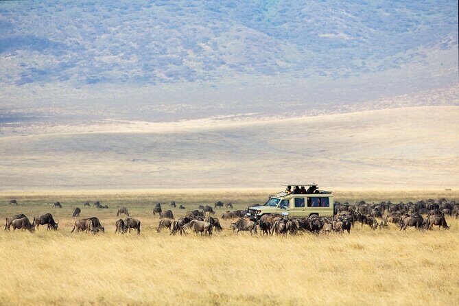 3-Day Private Safari to Lake Manyara, Tarangire & Ngorongoro - Why this 3-park loop from Arusha makes sense
