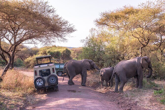 3-Day Private Safari to Lake Manyara, Tarangire & Ngorongoro - Day 1 Lake Manyara: acacia shade, tree-climbing lions, and Mto wa Mbu camping