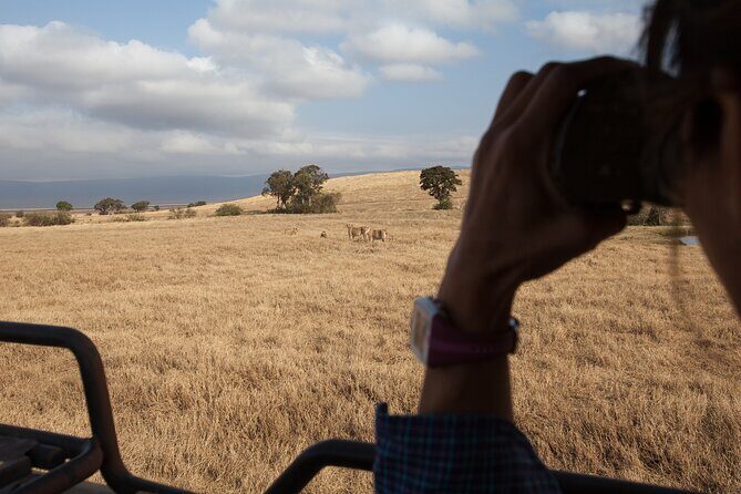 3 Day Private Serengeti Safari Tour with One Way Flight - The guide matters: Simon, Carlos, Victor, Benny, and Kimanbo