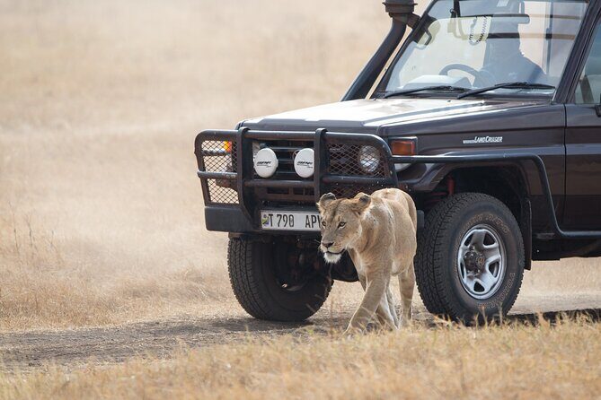 3 Day Private Serengeti Safari Tour with One Way Flight - Value check: what $1,477 buys you in a short safari window