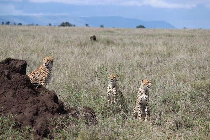 3 Day Safari from Arusha: Serengeti and Ngorongoro - Getting From Arusha Into Serengeti: Farmland Roads and the Seronera Water Line