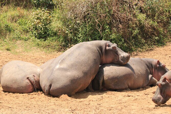 3-Day Safari in Serengeti & Ngorongoro(Mid-range) - Price and value: $2,480 per person, and what you get for it