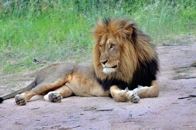 3-Day Safari to Ngorongoro, Tarangire & Lake Manyara NP - Practical prep so your mornings don’t feel miserable