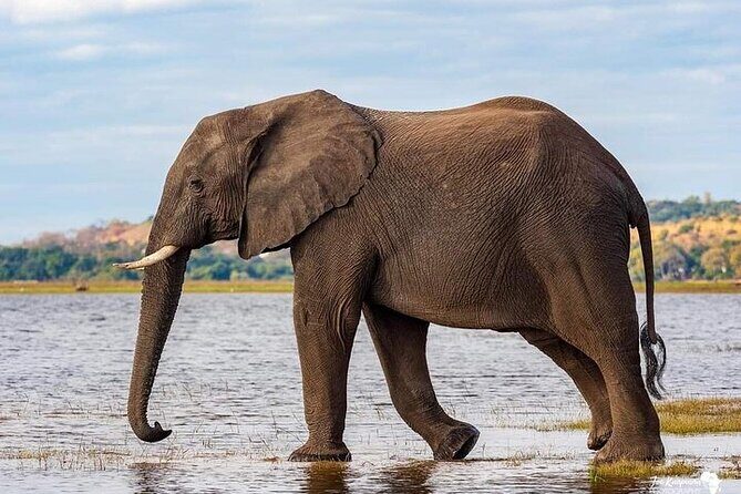 3 Day Safari to Serengeti National Park and Ngorongoro Crater - Day 1: Arusha to Serengeti National Park and Seronera Campsite night