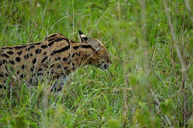 3 Day Safari to Serengeti National Park and Ngorongoro Crater - Price and value: is $855 a smart deal for Serengeti + Ngorongoro?