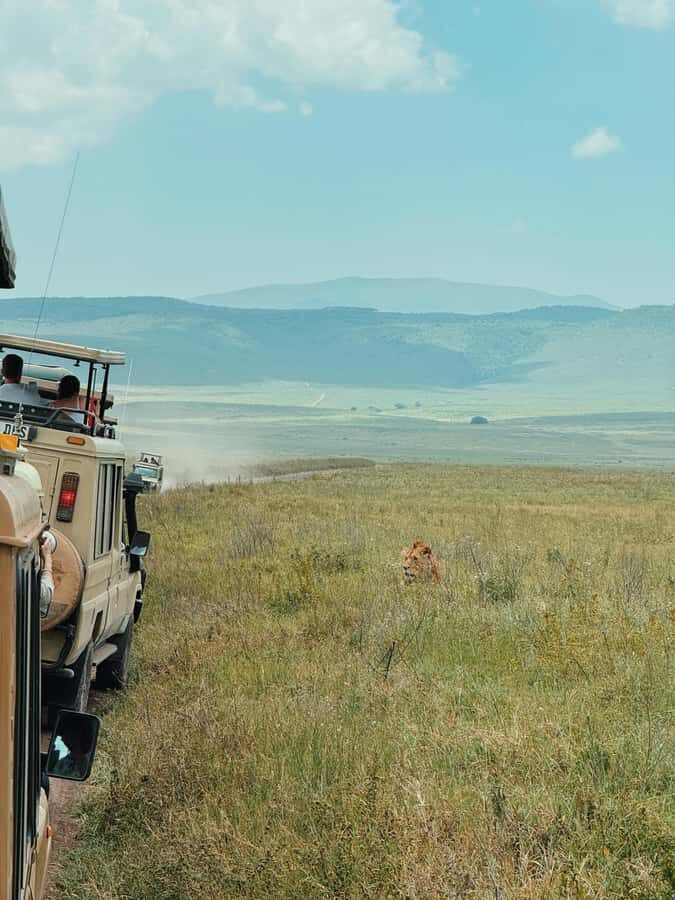 3-Day Safari to Serengeti & Ngorongoro + Balloon experience - Why this Serengeti + Ngorongoro + balloon trip makes sense
