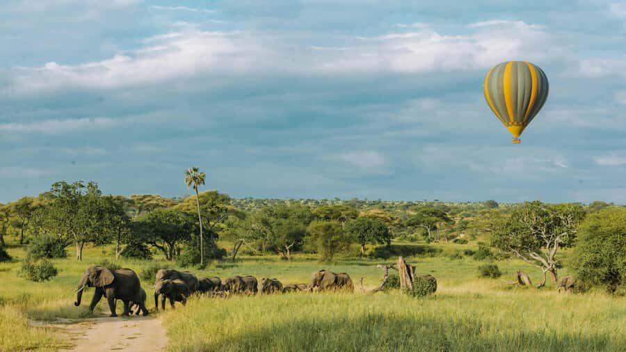 3-Day Safari to Serengeti & Ngorongoro + Balloon experience - Day 2’s second half: from Serengeti plains to Ngorongoro rim views