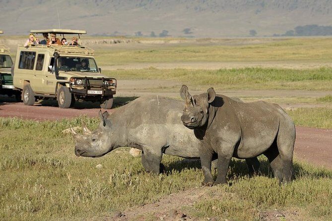 3-Day Safari Tour to Tarangire National Park, Lake Manyara National Park and Ngorongoro Crater from Arusha - Day 3: Ngorongoro Crater Descent, Crater-Floor Picnic, Back to Arusha