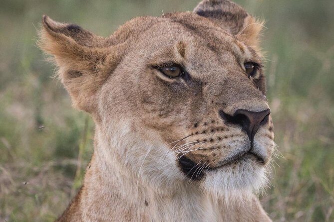 3-Day Selous Reserve mid-Range Safari - Key things I’d focus on before you book