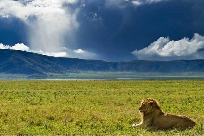 3 Day Sharing Safari - Manyara, Ngorongoro Crater and Tarangire National Parks - Key things I’d circle before you go