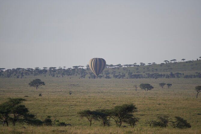 3 Day Sharing Safari - Manyara, Ngorongoro Crater and Tarangire National Parks - Lake Manyara National Park: Flamingos, Birdlife, and Tree-Lounging Lions