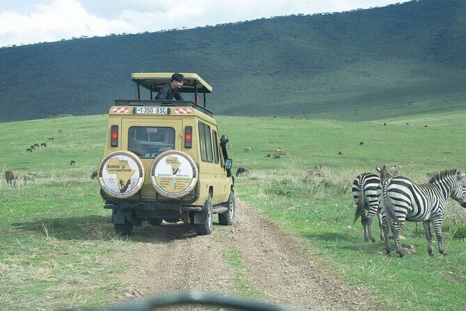 3-Day Tanzania Group Safari-Tarangire, Ngorongoro & Lake Manyara - Group Size Up to 200: How to Stay Happy in a Busy Format