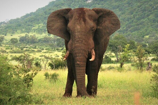 3-Day Tarangire, Lake Manyara and Ngorongoro - What to pack so safari days feel smooth