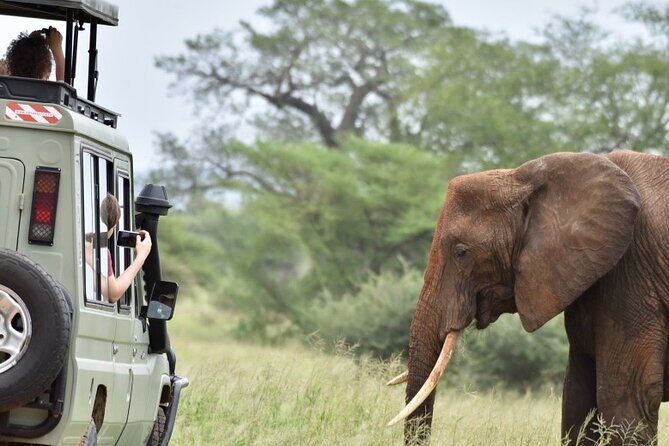 3 Day - Tarangire, Ngorongoro Crater Lake Manyara- Mid - Range - Three parks in three days: what you’re really buying