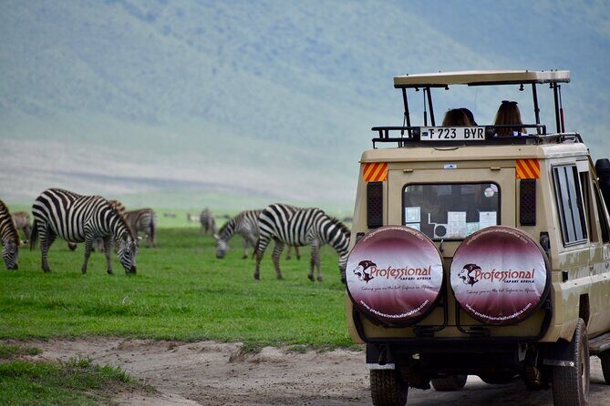 3 Day - Tarangire, Ngorongoro Crater Lake Manyara- Mid - Range - Value and price: what $1,350 covers (and what it doesn’t)