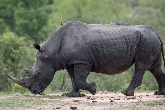 3-Day Tarangire NP, Manyara NP & Ngorongoro Crater - What $830 Covers (and Why This Price Can Make Sense)