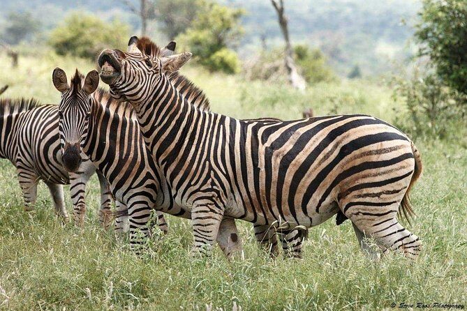 3-Day Tarangire NP, Manyara NP & Ngorongoro Crater - Who This Safari Fits Best (and Who Might Want More Days)