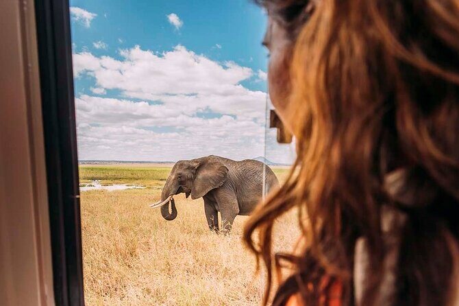 3-Day Taste of Tanzania Safari (Tarangire National park and Ngorongoro Crater) - Who this safari is best for (and who might want a different plan)