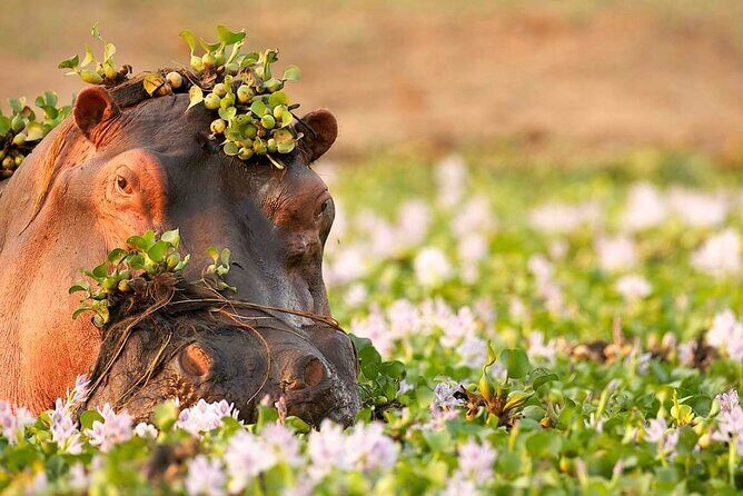 3-Day Taste of Tanzania Safari (Tarangire National park and Ngorongoro Crater) - Evening transfer toward Karatu: what this stop really does for your next day