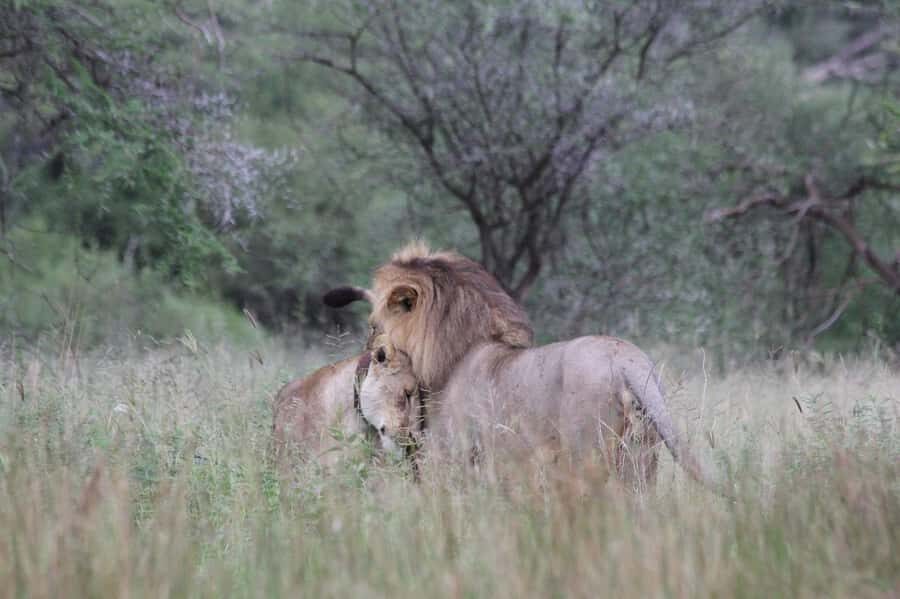 3-day unforgettable memories from Dar-es-Salaam to Mikumi NP - Who this tour suits best, and who should think twice