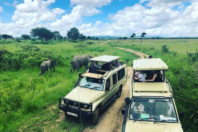3 Days 2 Nights Adventures At Mikumi National Park - Key things to know before you go