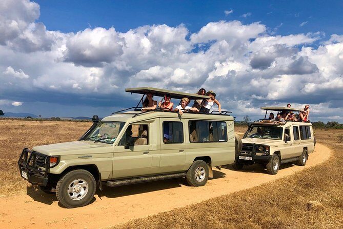 3 Days 2 Nights Adventures At Mikumi National Park - Price and value: what you really get for $666.67 per person