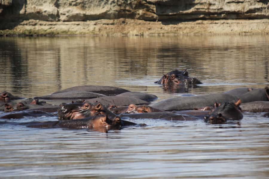 3 Days 2 Nights Amazing Masai Tour & Mikumi National Park - The comfort details that make or break the experience