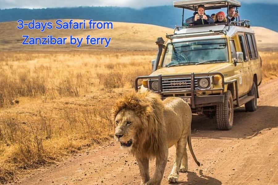 3 DAYS, 2 NIGHTS SAFARI FROM ZANZIBAR TO MIKUMI BY FERRY. - Day 2: Full-Day Mikumi Game Drive (This Is the Main Event)
