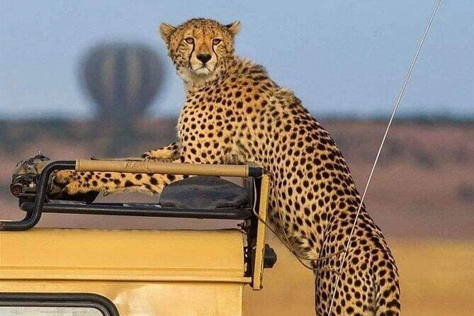 3 Days /2 nights Serengeti and Ngorongoro crater - 3 Days, 2 Nights: the fast-track safari that still feels organized