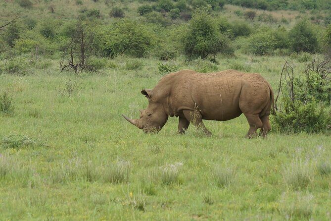 3-Days 2-nights Tanzania Private Budget Camping Safari - Key highlights you’ll actually feel