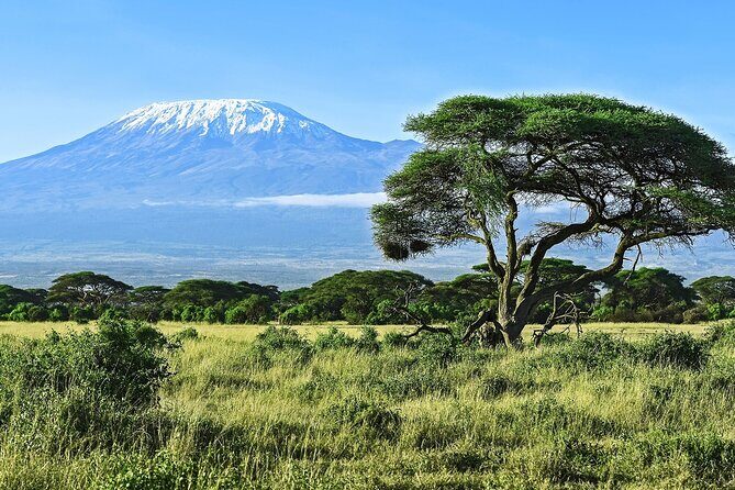 3 Days All Inclusive Zanzibar to Tarangire Ngorongoro - The safari rhythm: drives, meals, and how the day really feels