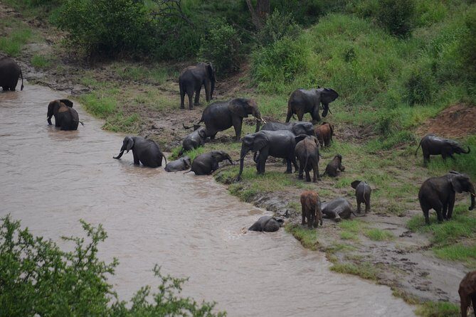 3 Days All Inclusive Zanzibar to Tarangire Ngorongoro - Logistics that matter more than you think