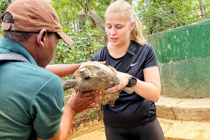 3 Days and 2 Night Mikumi Safari Private Tour and Chizua hiking - Meals, Drinks, and What’s Included (and What Isn’t)