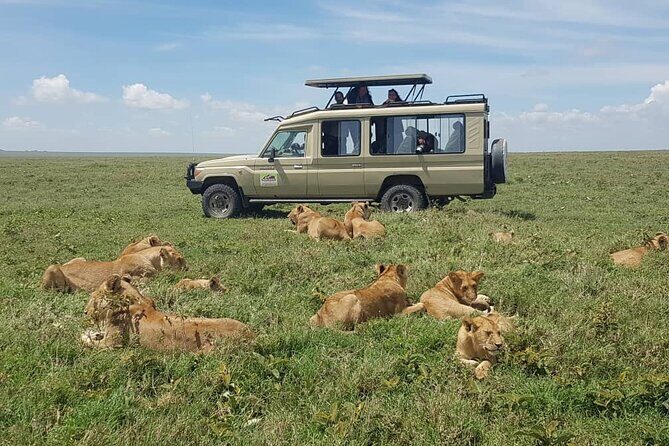 3 Days Big 5 Tour and Culture in Tanzania - Who This Tour Suits Best